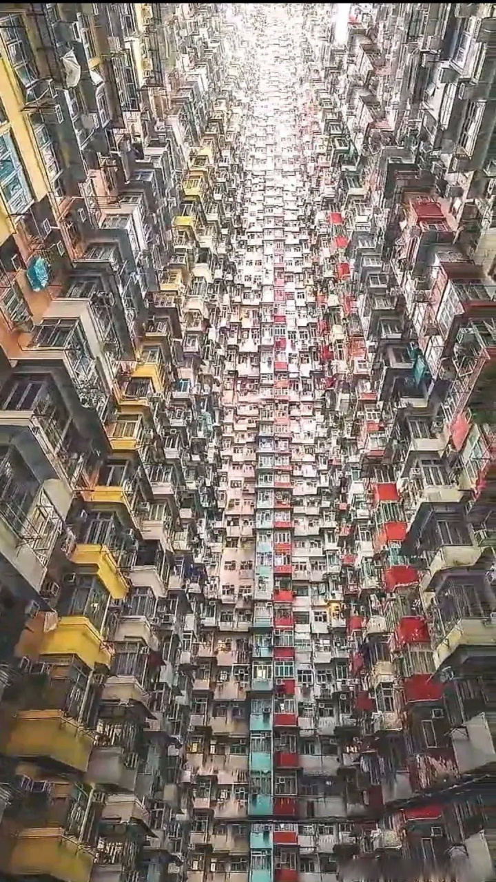 香港住房现状鸽子房图片