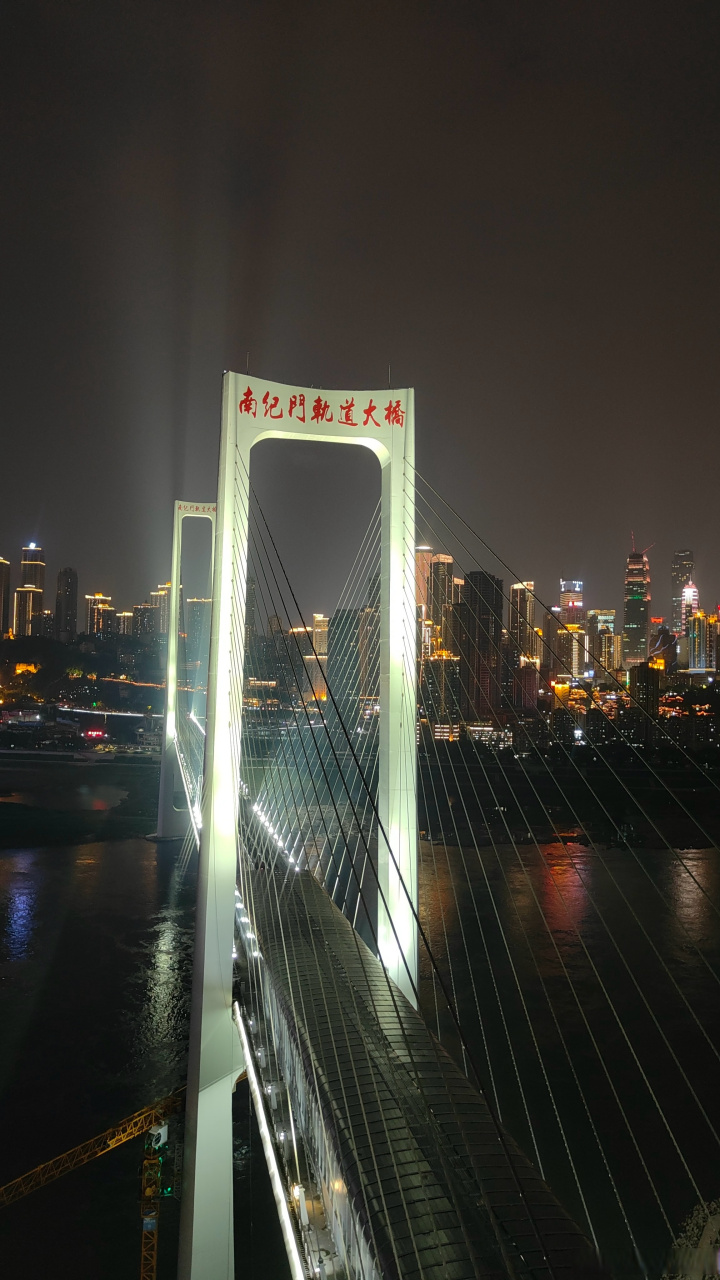 南纪门长江轨道专用桥图片