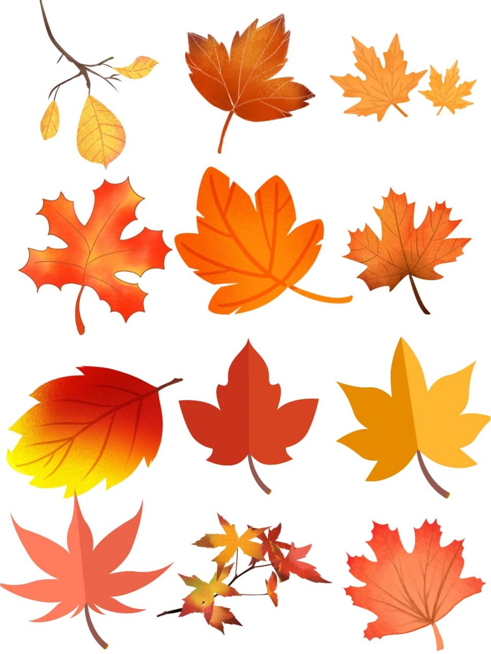 秋天png免抠素材|93树叶泛黄,秋天来啦!