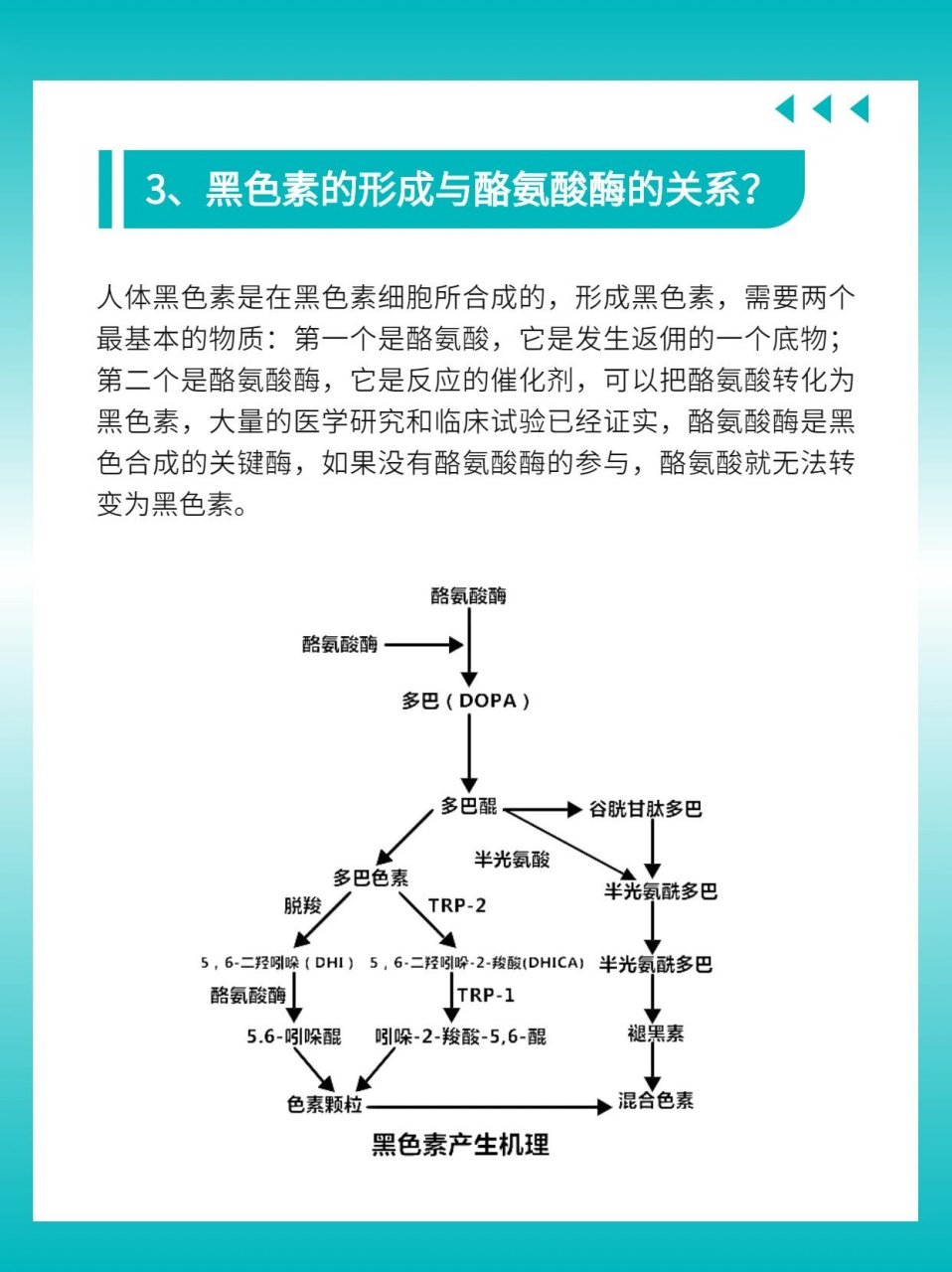 酪氨酸酶黑色素图片