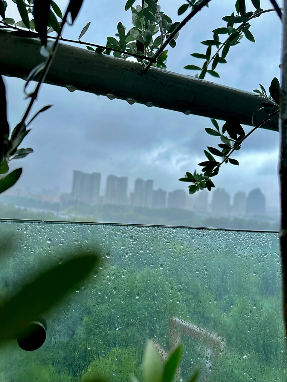 窗外的大雨….  下了一夜 90  [抱抱]