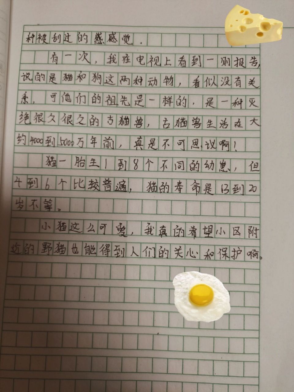 五年级上册作文  写一种事物 《小猫》 不算原创,不喜勿喷9090