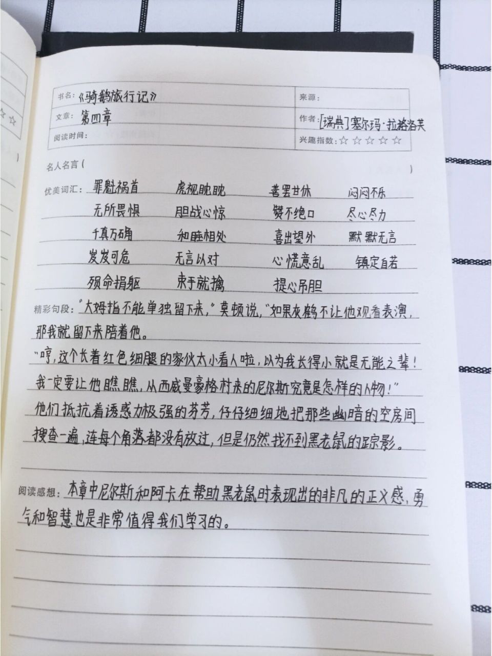 骑鹅旅行记读书笔记第4篇 我来了,我来了