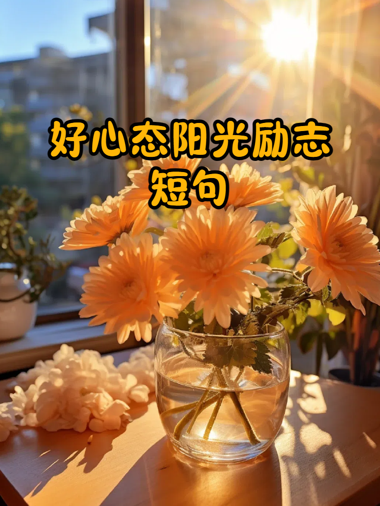 好心态阳光励志短句