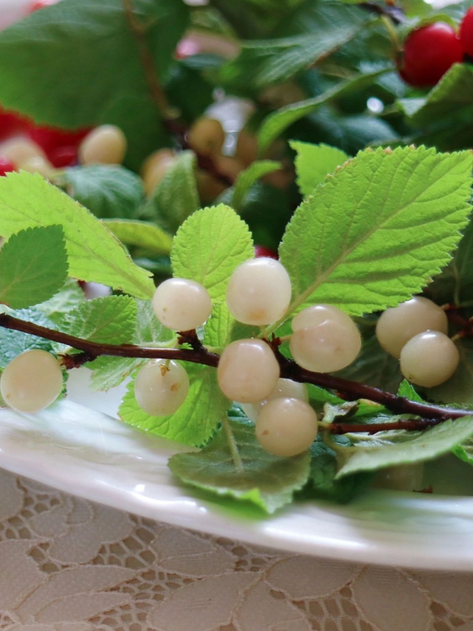 90白樱桃白玉樱桃 你没见过的樱桃品种 很多人没见过白色的樱桃.