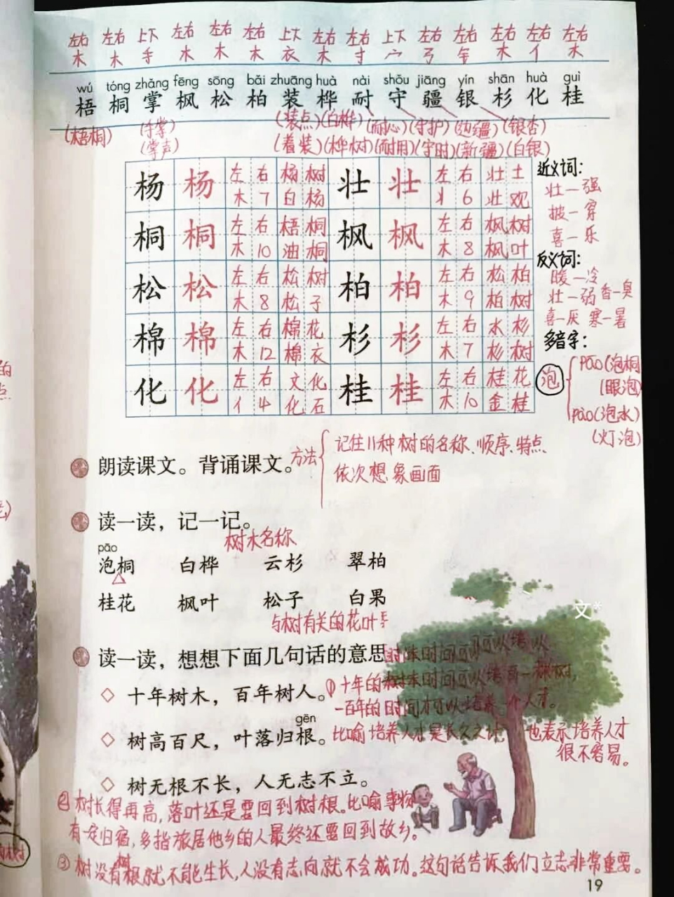 【语文】二年级上册《树之歌》课堂笔记 学习目标: 1,认识"梧,桐"等15