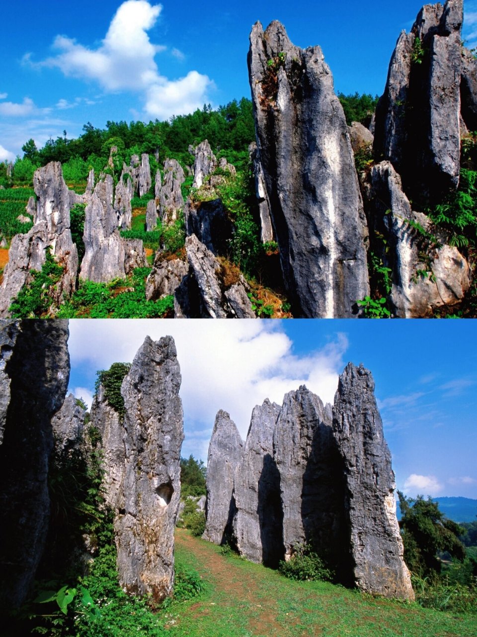 9015思南石林主要分布在贵州省思南县长坝景区和荆竹园景区,石林