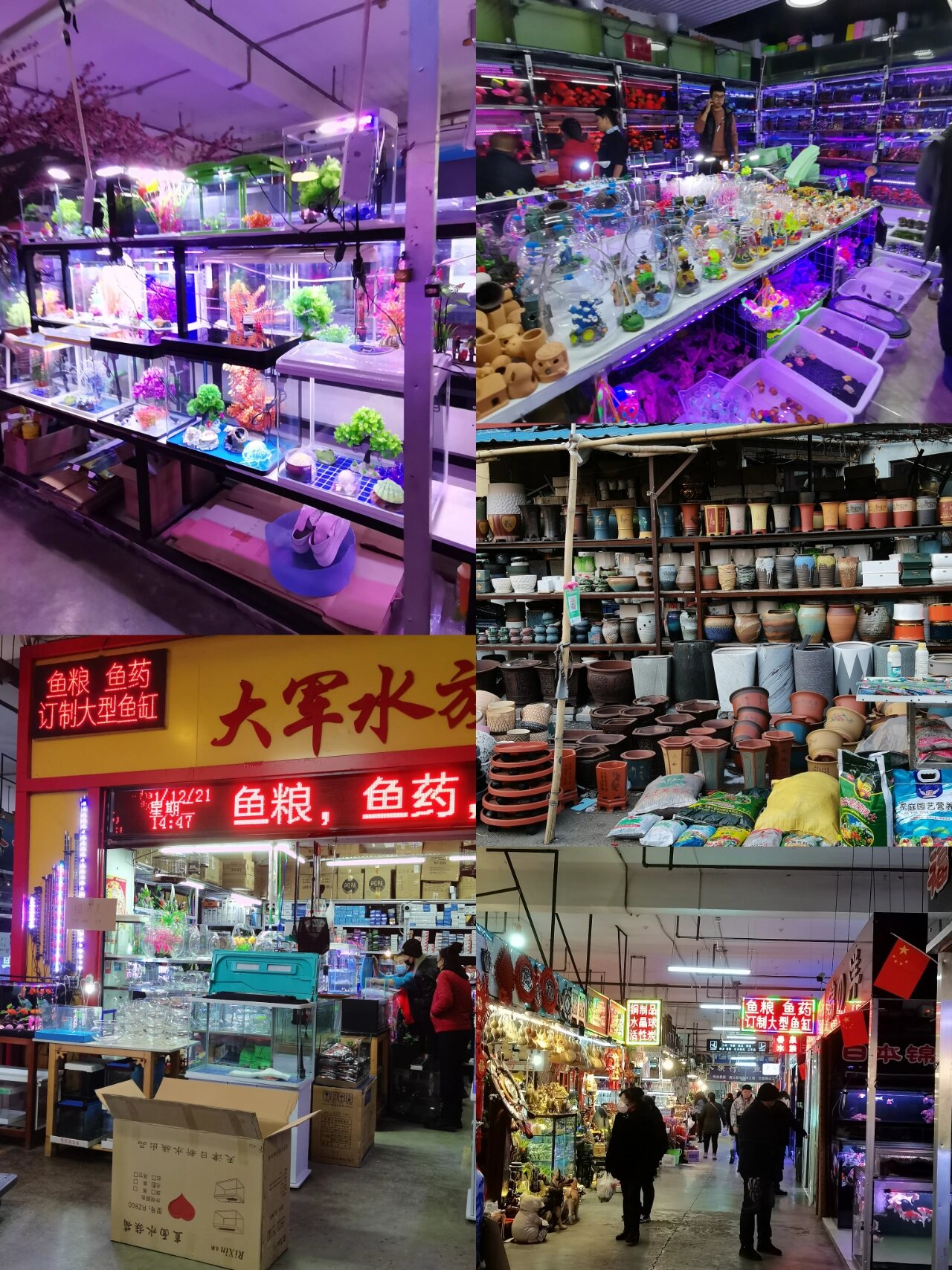 吉林市雅兴缘花鸟鱼交易市场