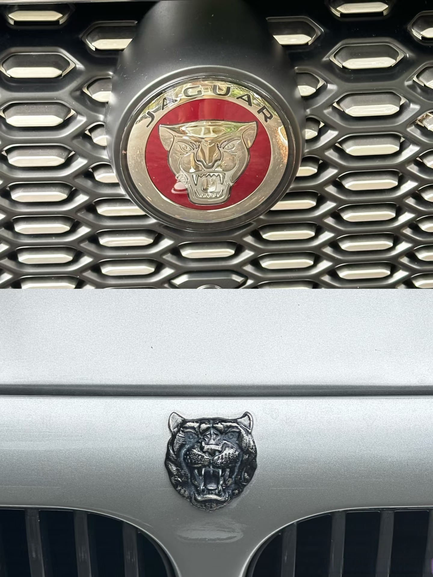 当然了硬是较真,它也可以翻译成陆地漫美洲虎汽车标志美洲虎汽车后面