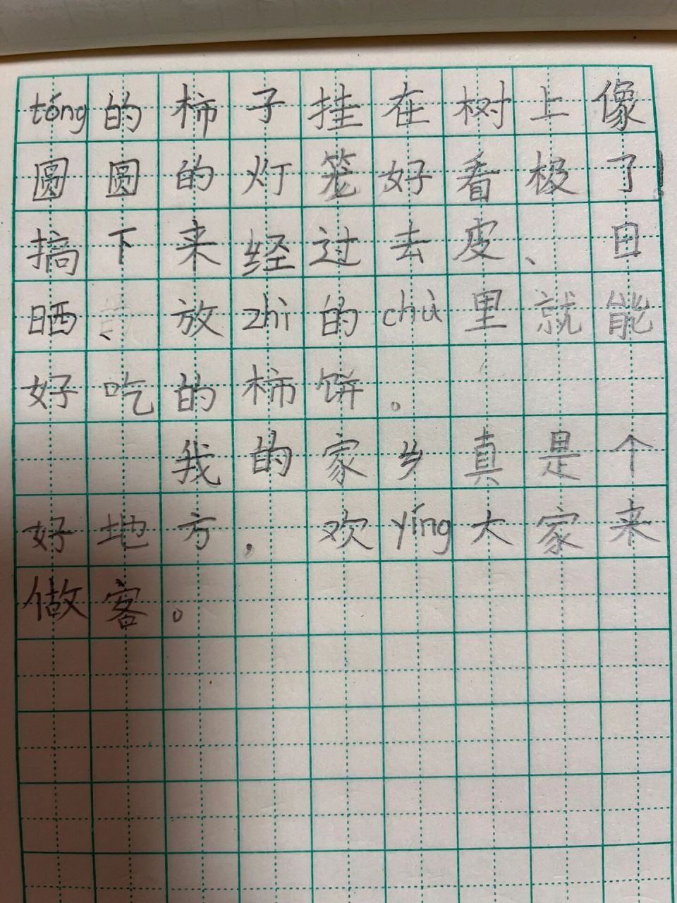 我的家乡日记50字图片