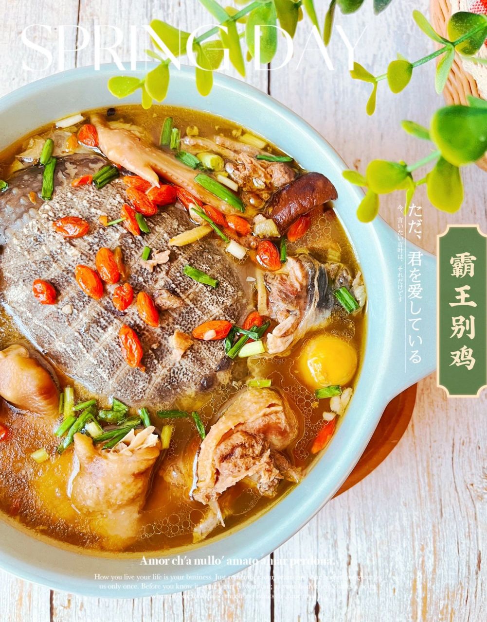 滋补养生汤97霸王别鸡这样做……真香99 霸王别姬/谐音—霸王鳖鸡