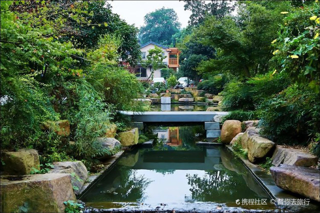 杭州极小众景点之青芝坞