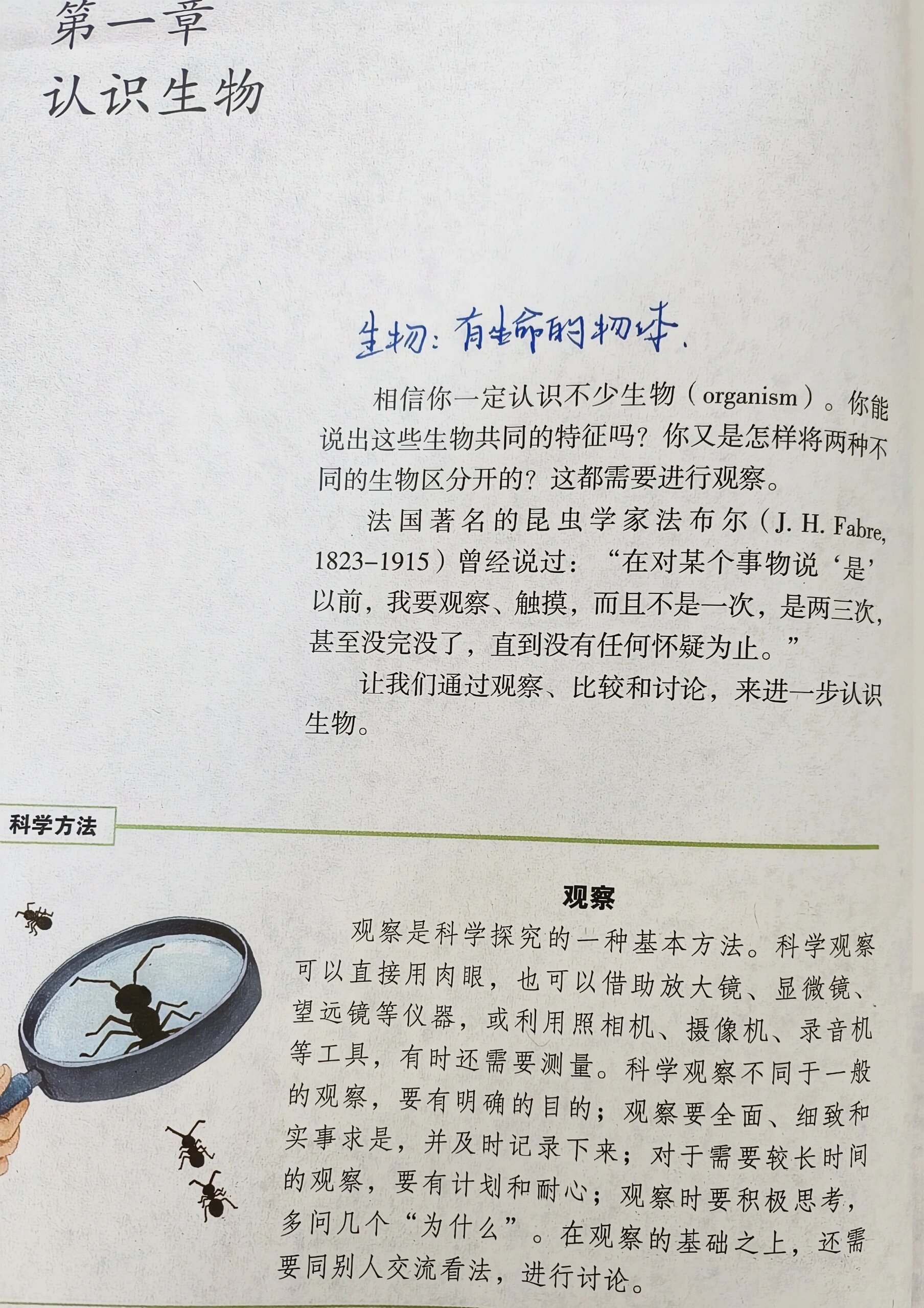 🦒七上生物|《生物的特征》 重点: 1,了解,熟记生物的几大特征 2,能