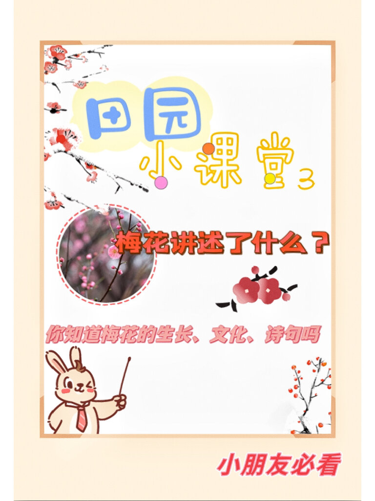码住给小朋友看 	 梅花的生长过程93 	 7615冬春季:梅花会在
