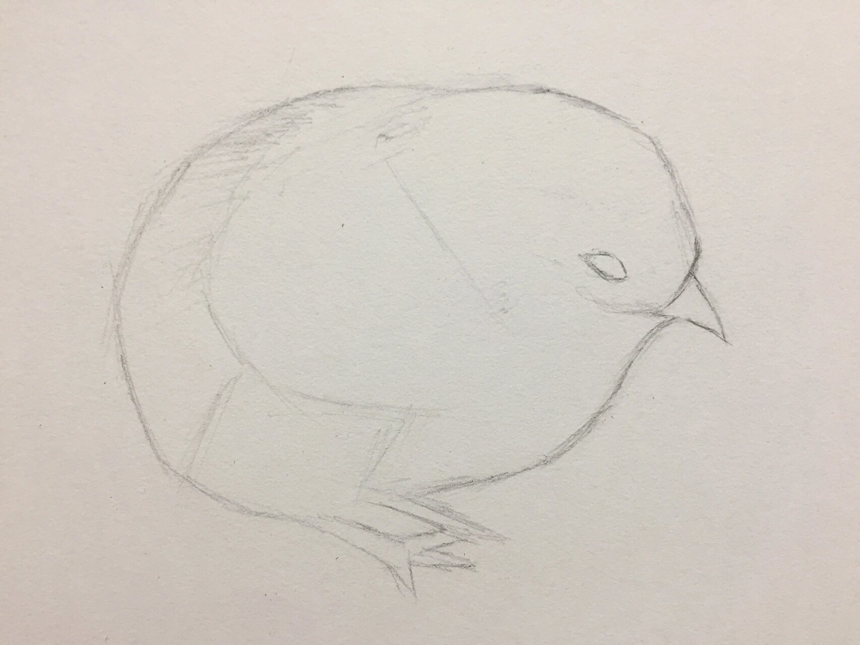 零基础学素描 小鸡91