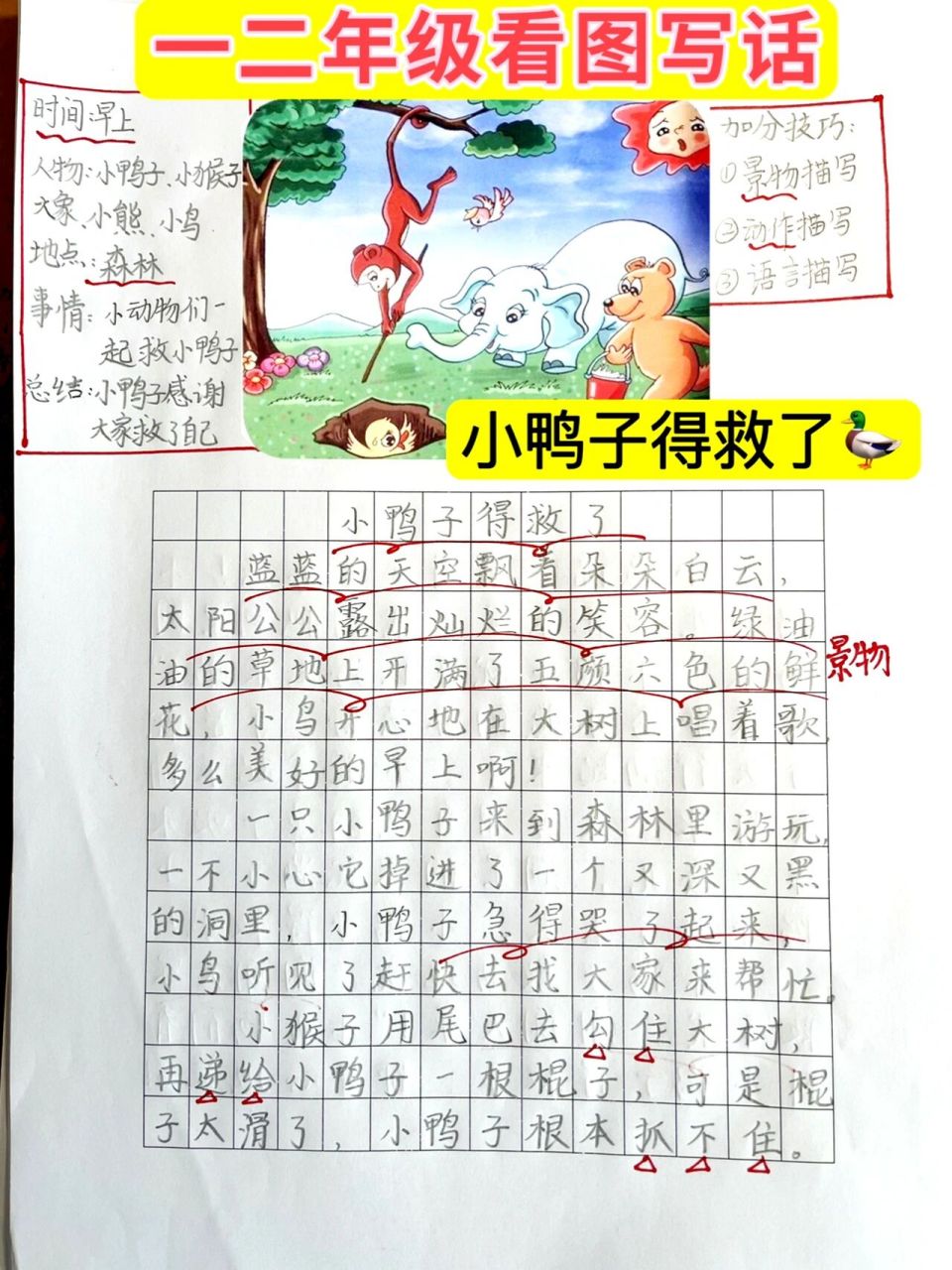 一二年级96看图写话99《小鸭子得救了》94 一二年级看图写话五