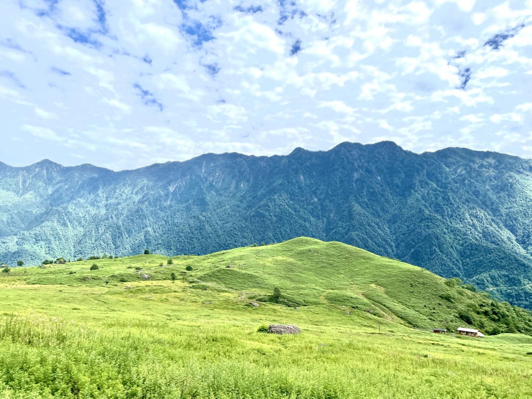 乐山-黑竹沟风景区 别再傻傻的买门票进入景区了,关注黑竹沟景区公众