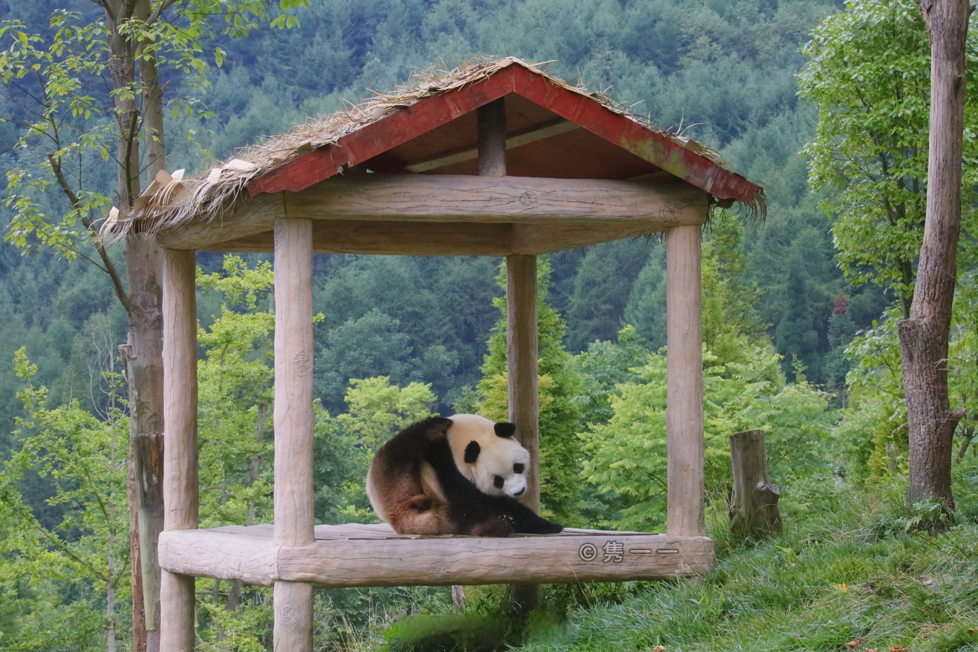 翩翩公子世无双,山中帅熊皓如月!