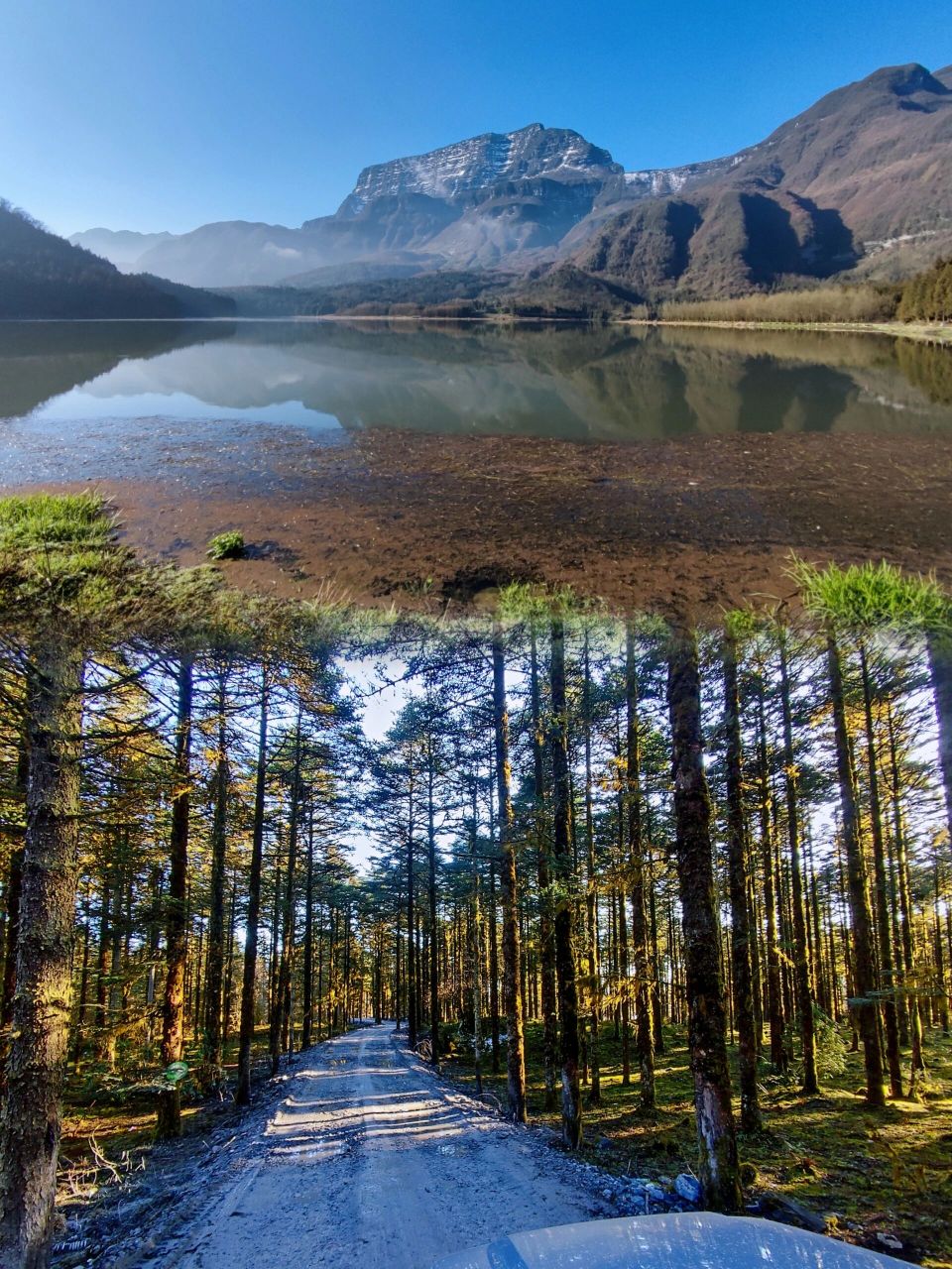 大瓦山湿地公园-金口河大峡谷-白熊沟 大瓦山位于四川省乐山市大渡河