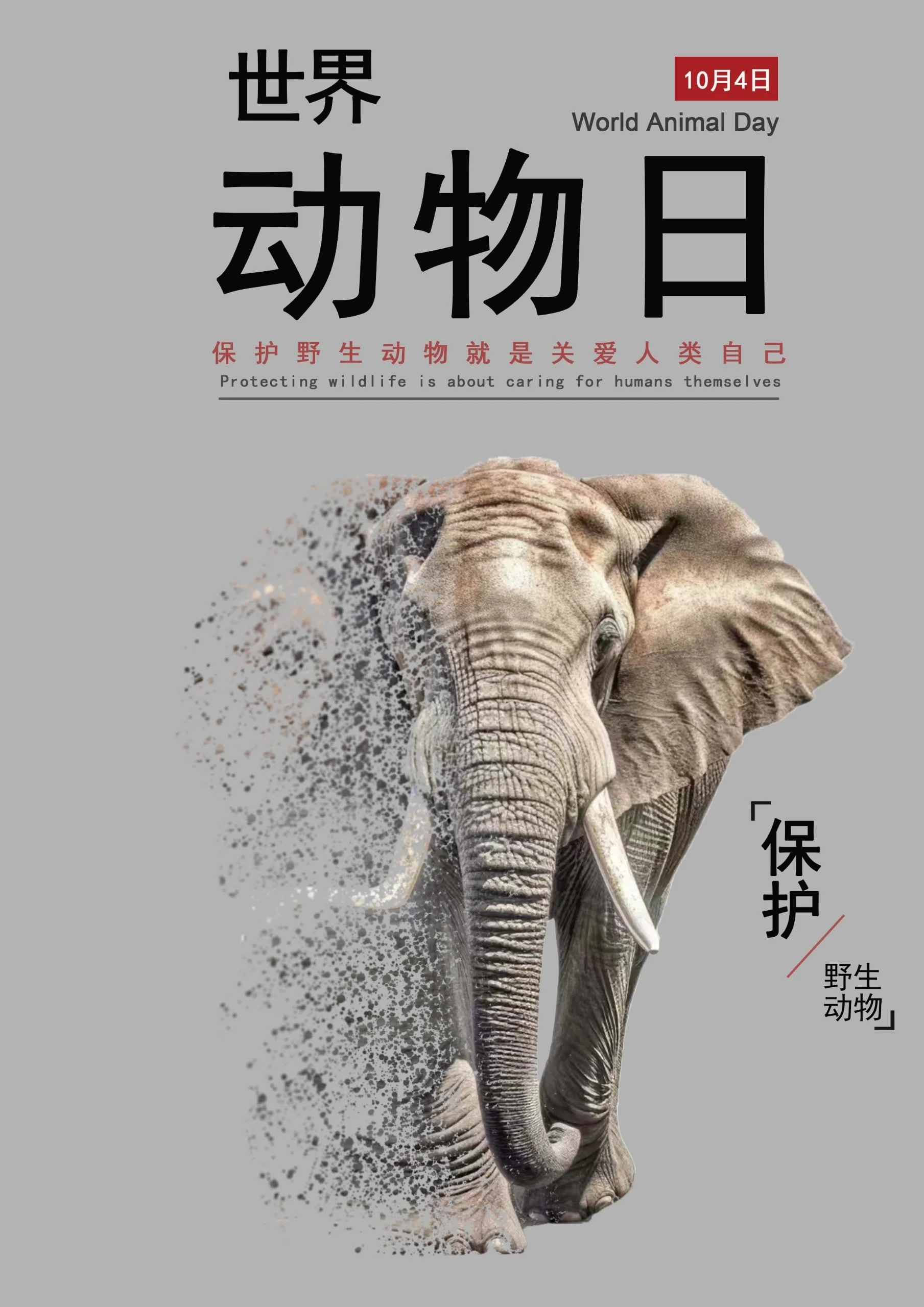 保护动物 海报设计