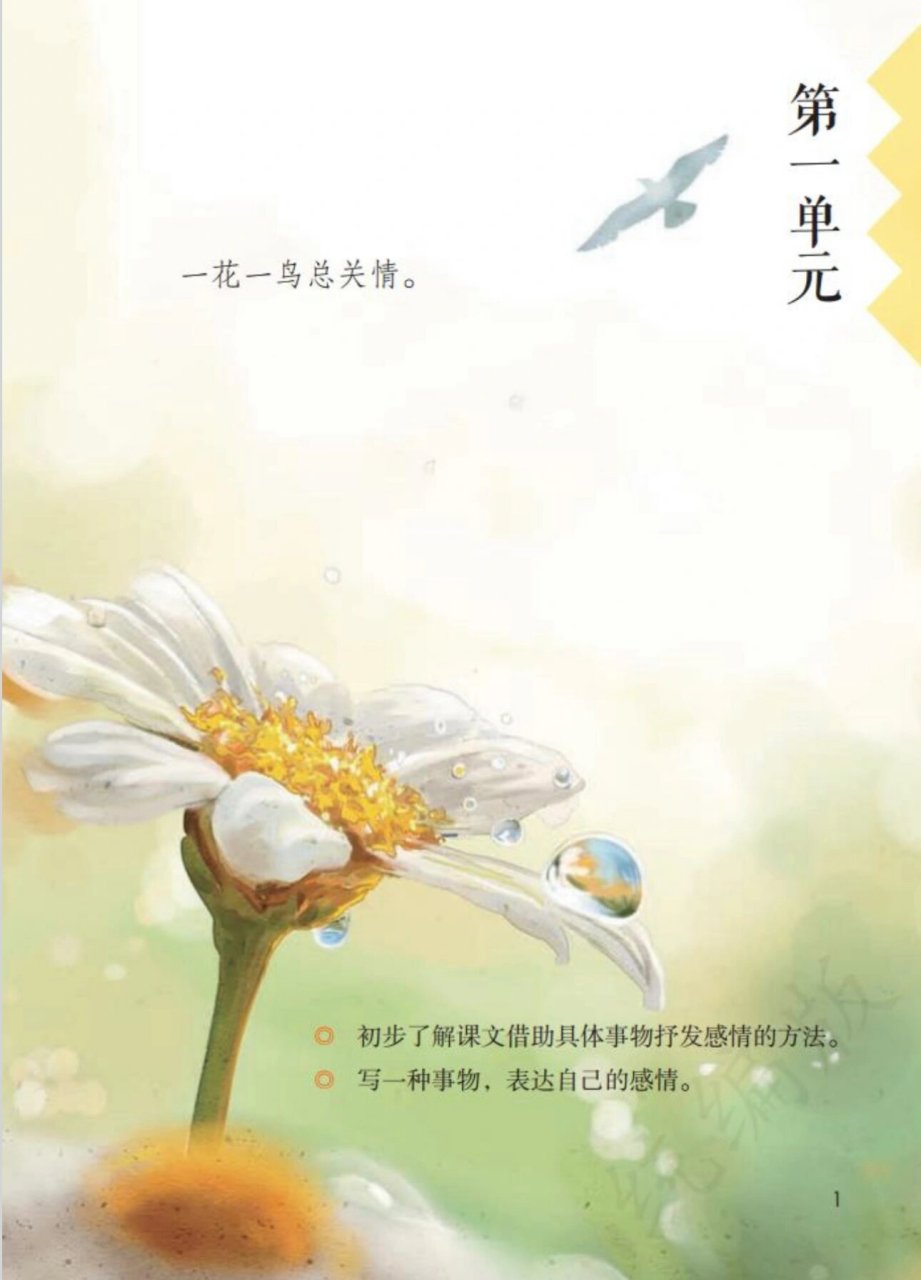 五上《珍珠鸟》试讲 高分导入 16615从古至今,人们的身边总是围绕