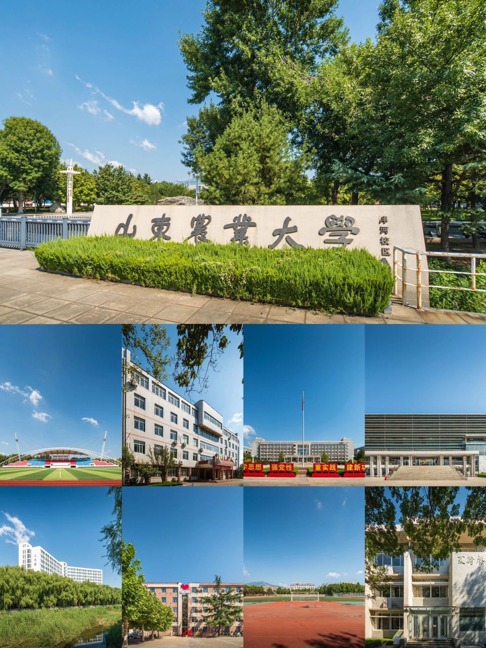 山东农业大学|给新同学看看泮河校区风景09 又是一年开学季,23级的