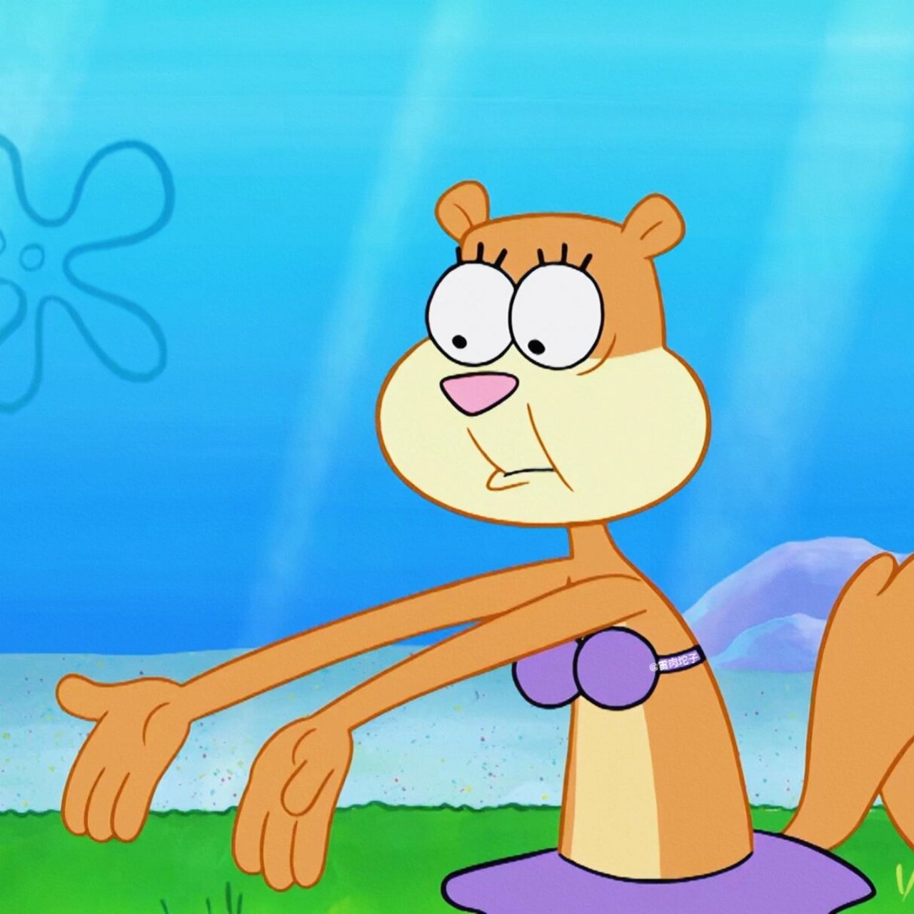 珊迪头像合集26615