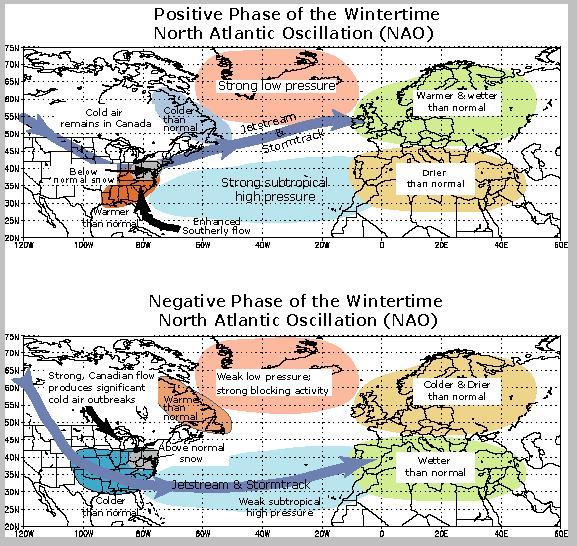 全球气候变化期间的北大西洋涛动与渔业管理