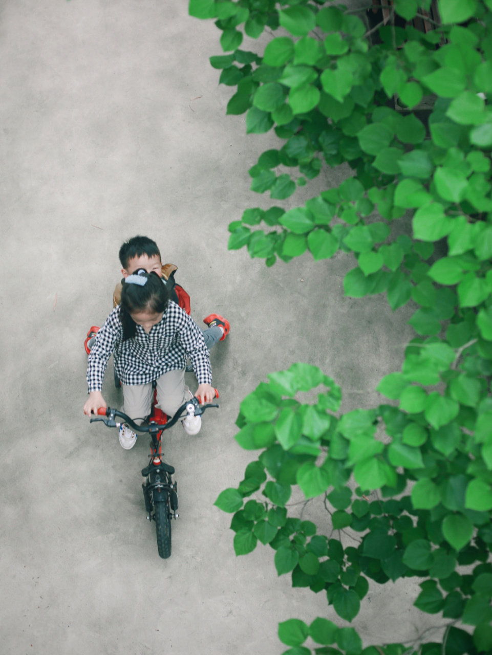 相亲相爱姐弟俩 #莫干山旅行