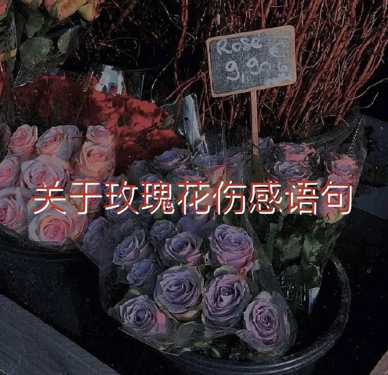 玫瑰花95伤感语句