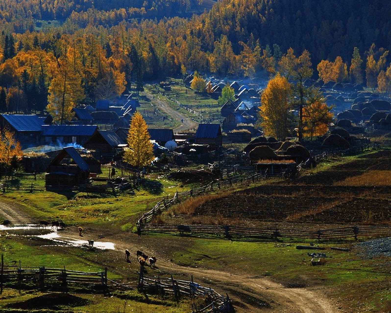 西北第一村·新疆白哈巴村