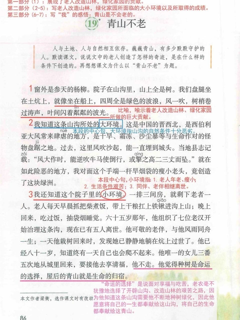 六上第19课《青山不老》课堂笔记 #小学语文怎么学# #小学语文课堂