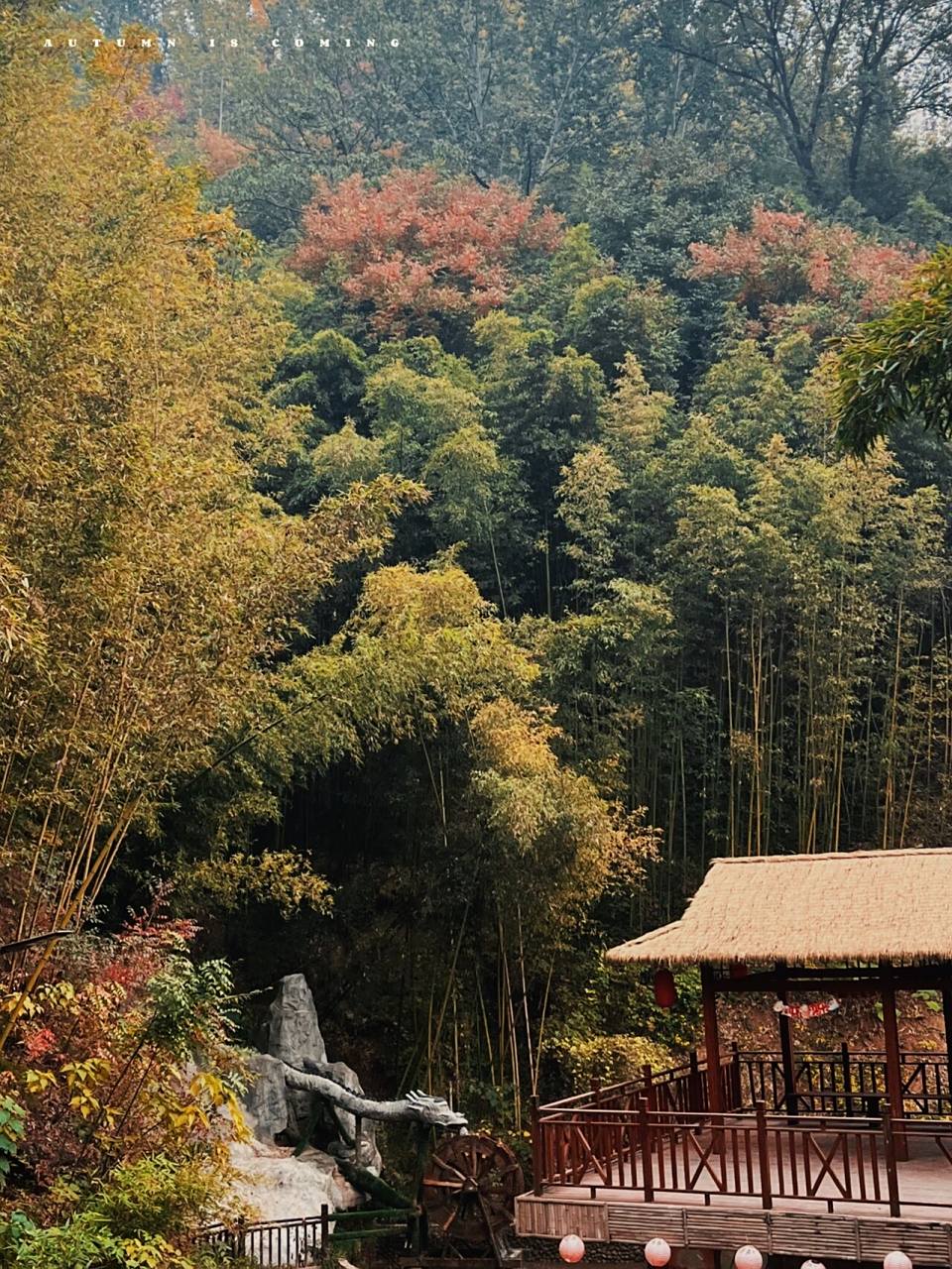 西安赏秋好去处|鲸鱼沟竹海97 07鲸鱼沟竹海景区位于西安白鹿原