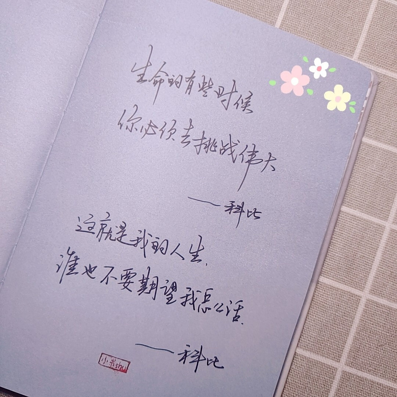 05手写句子【科比】 小书shu今日手写分享的是科比的语录: 	 99