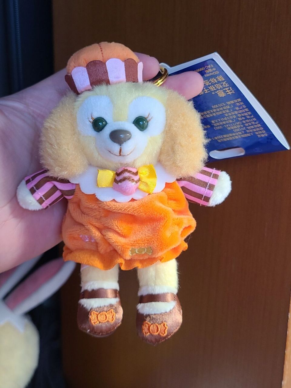 可琦安# #饼饼# #上海迪士尼