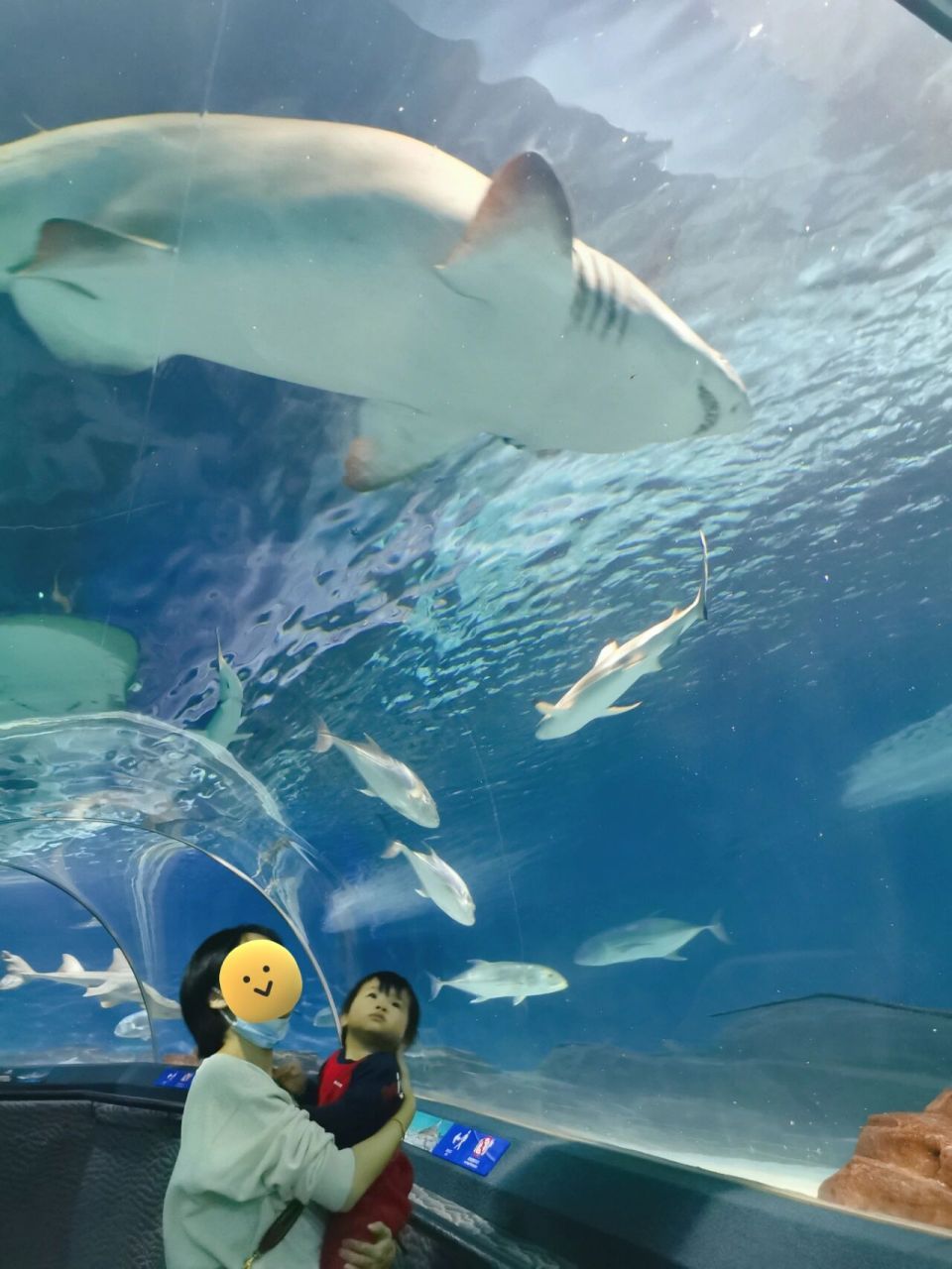 圣彼得堡海洋水族馆图片