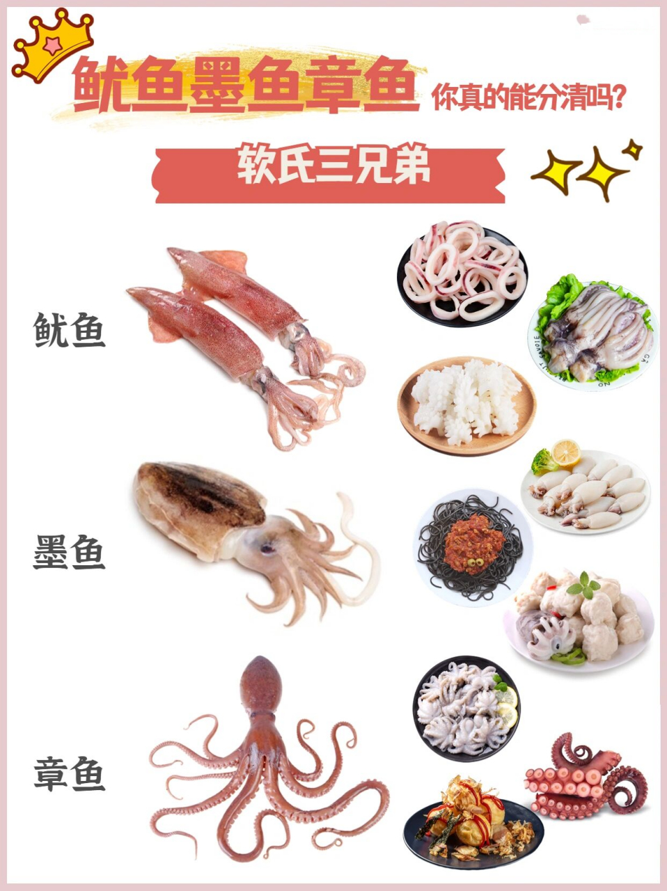 鱿鱼,章鱼,墨鱼,在日常生活中并不陌生,餐厅菜肴中也经常会见到.
