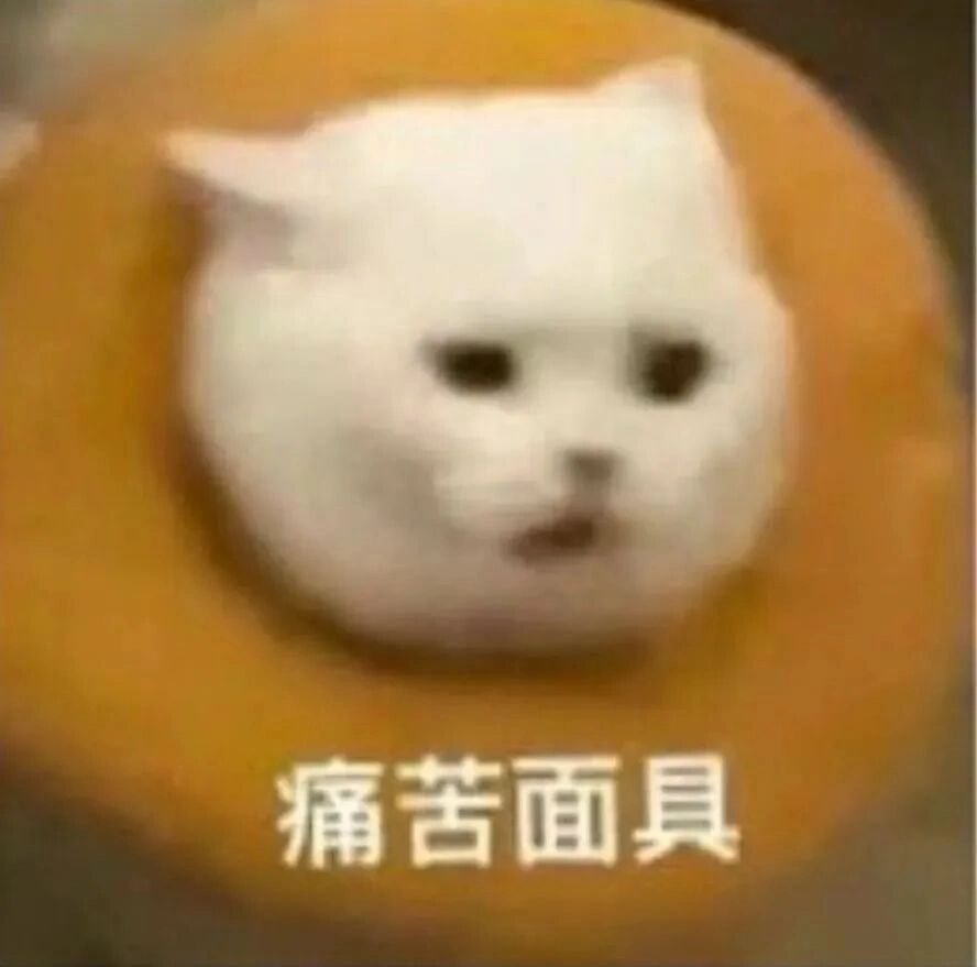 猫猫表情