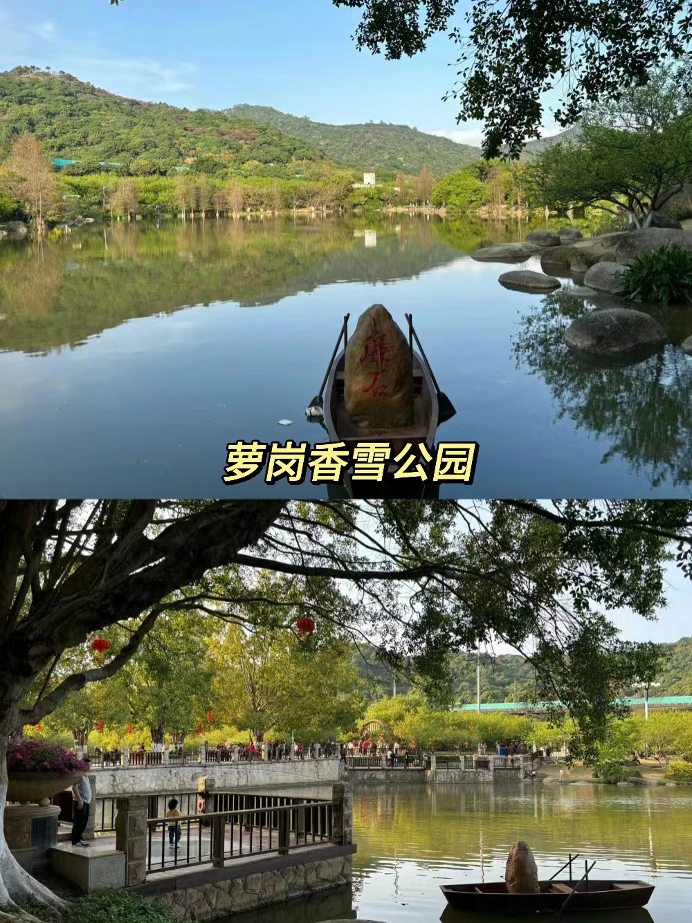 萝岗香雪公园旅游攻略