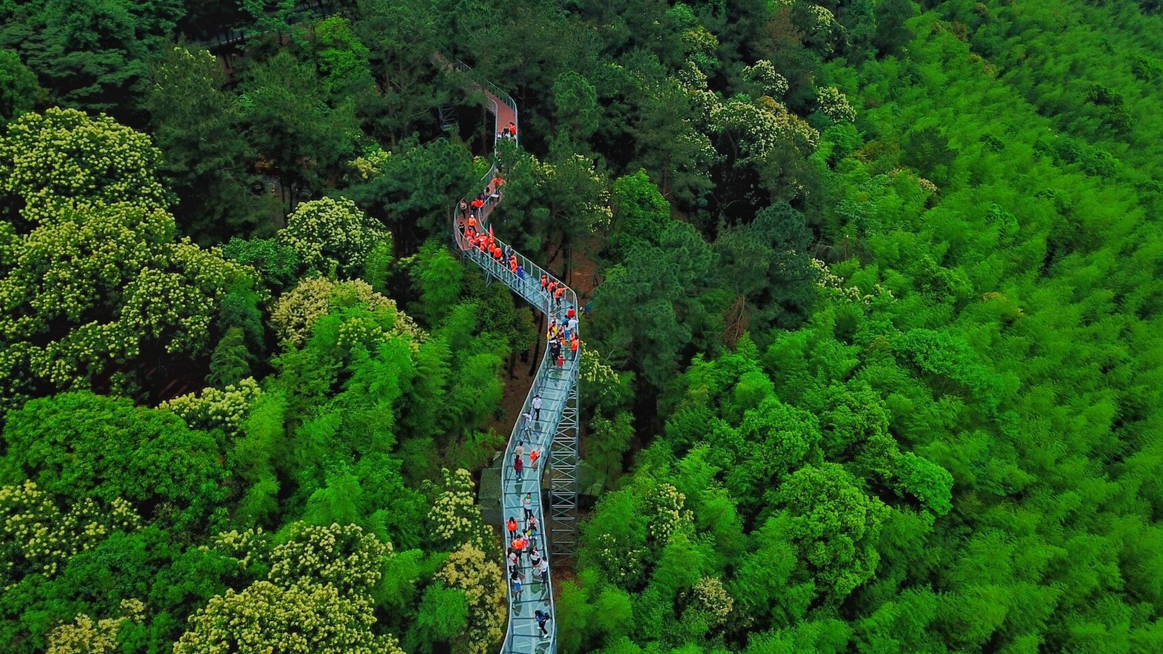 夏日好清凉 ——走,一起上丫山 都说江西山清水秀,水灵灵.