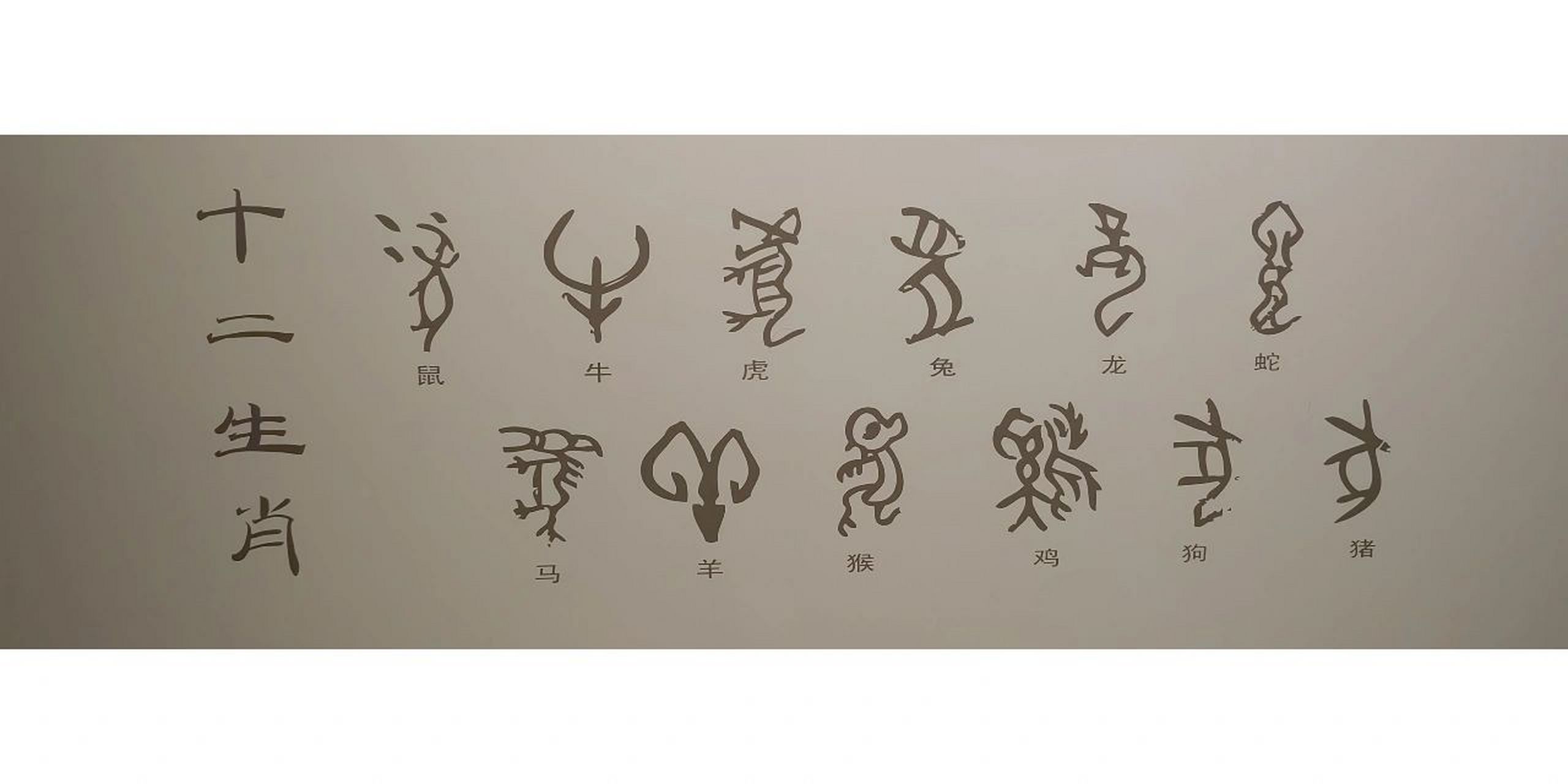 甲骨文版十二生肖 最早的成熟文字 每种生肖都那么形象生动 一眼就能