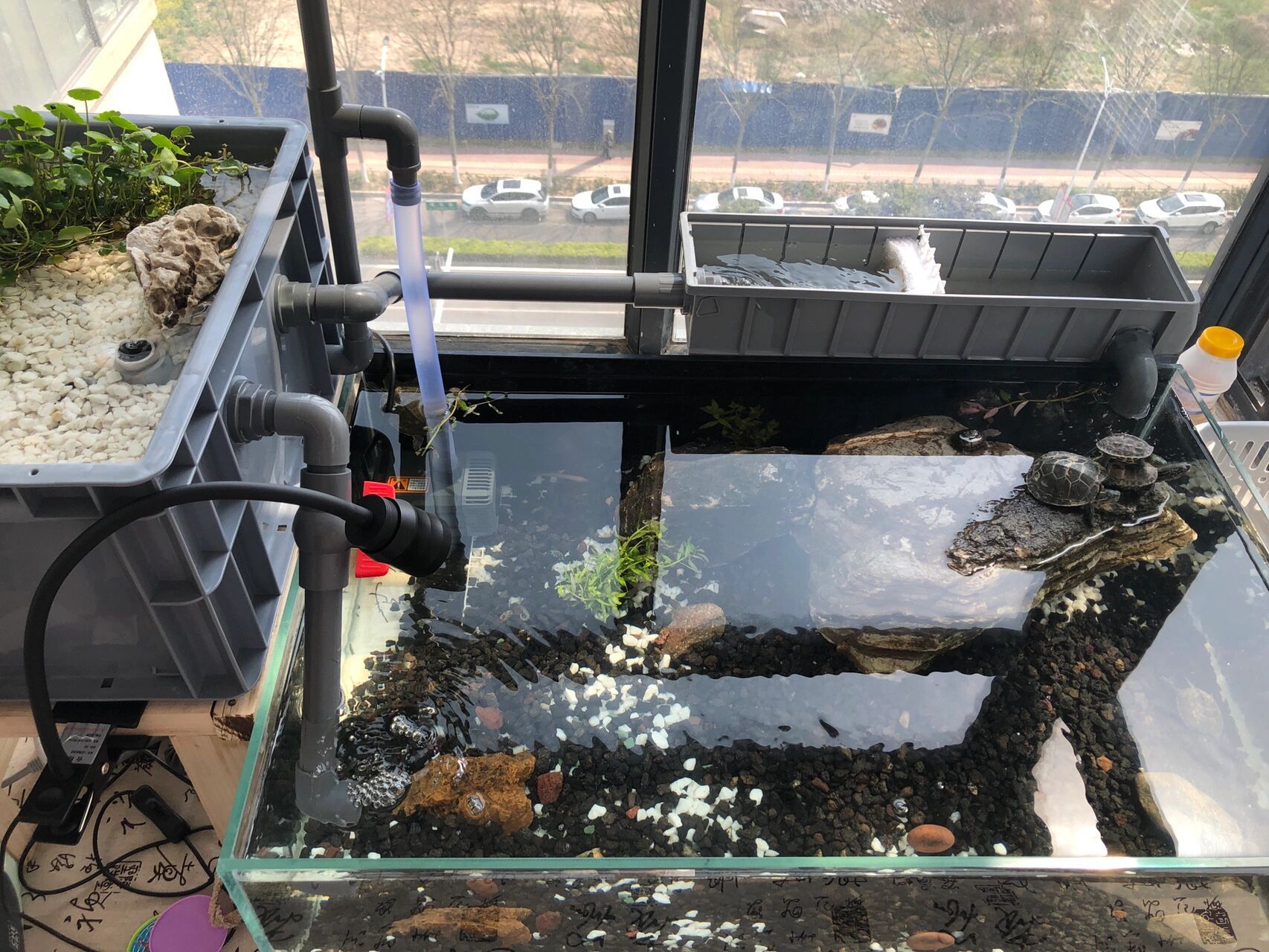 自制的沼泽过滤水箱 自己制作的过滤箱 养些乌龟98 还有虾