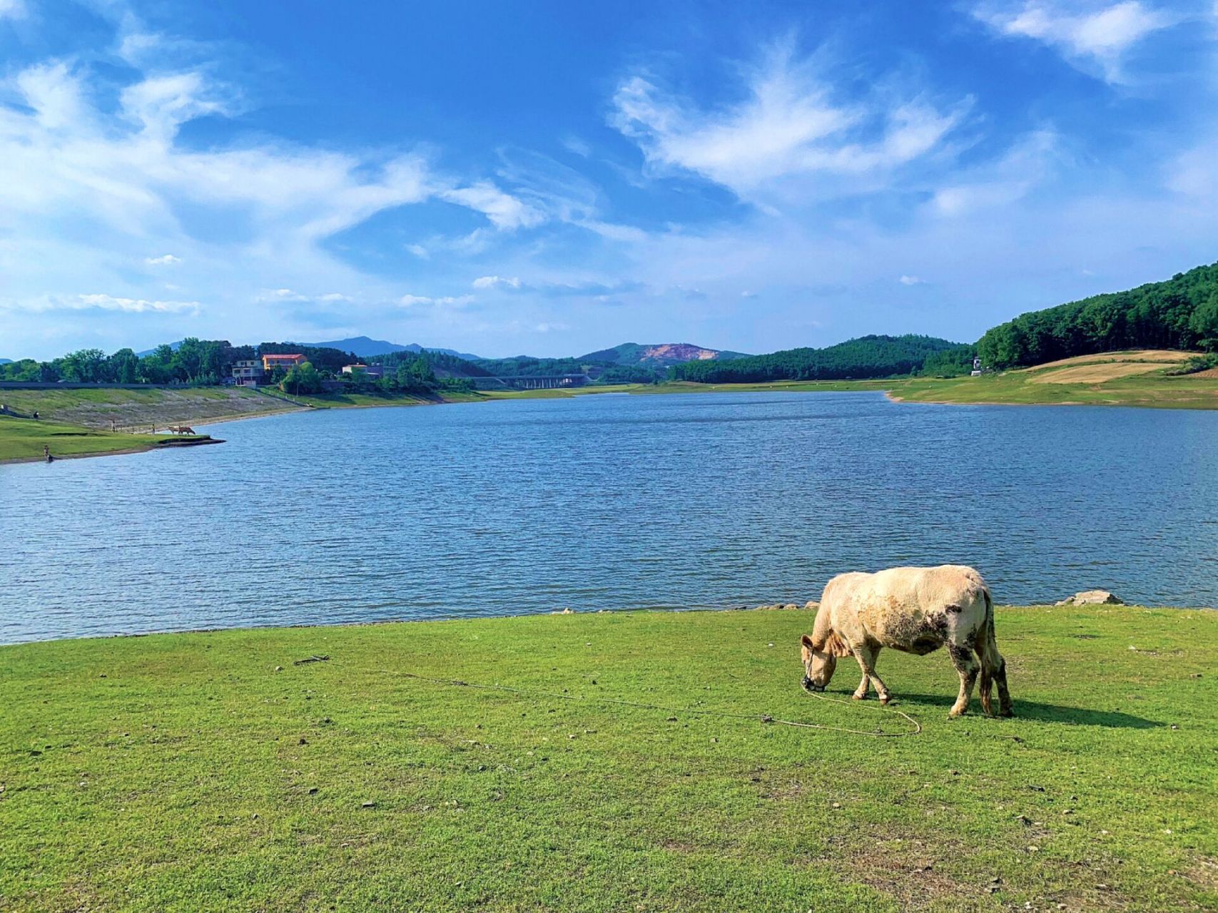 信阳周边游 | 邢集镇响水河水库 地点:邢集响水河水库 推荐:8282