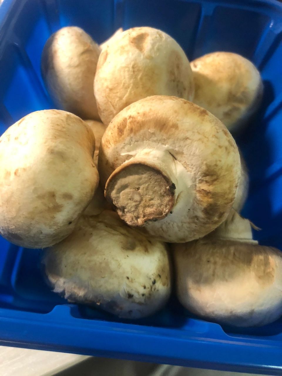 口蘑变成这样还能吃吗 在线等挺急的