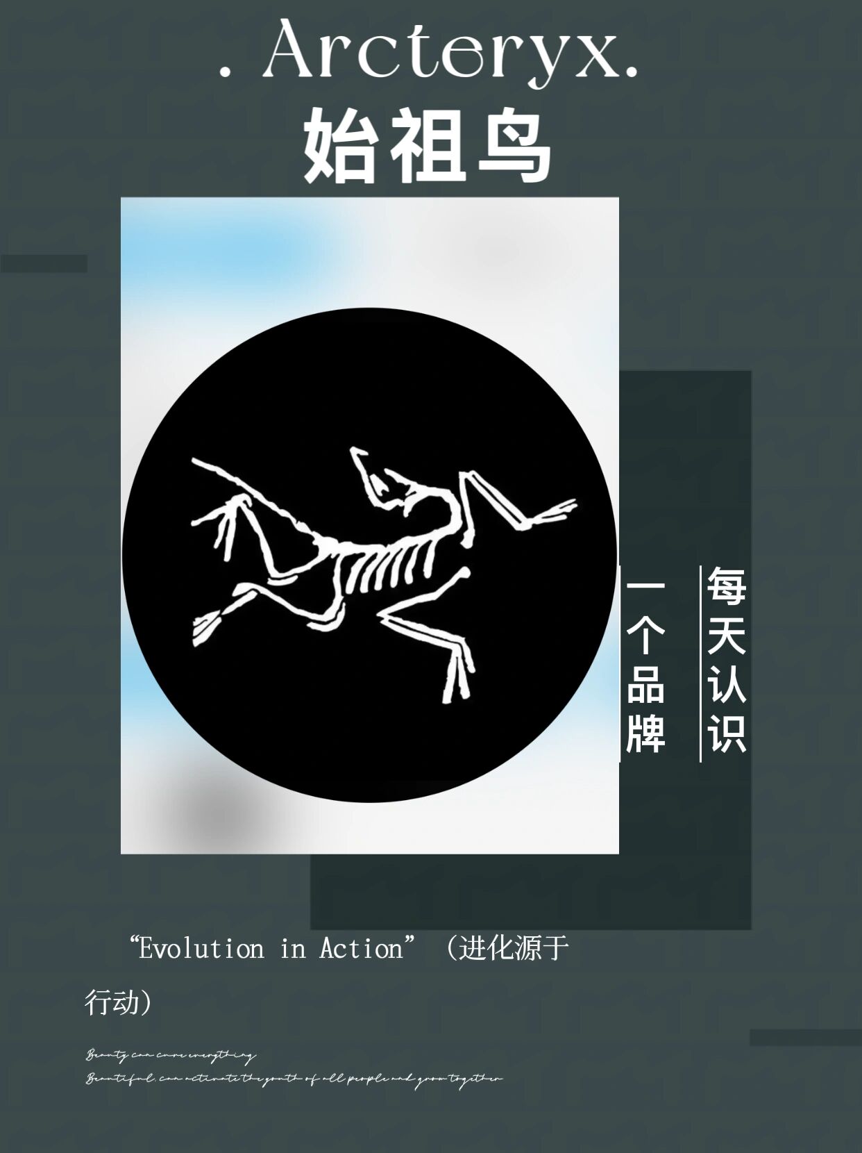 每天认识一个品牌|arcteryx始祖鸟(骨架鸟)  1.