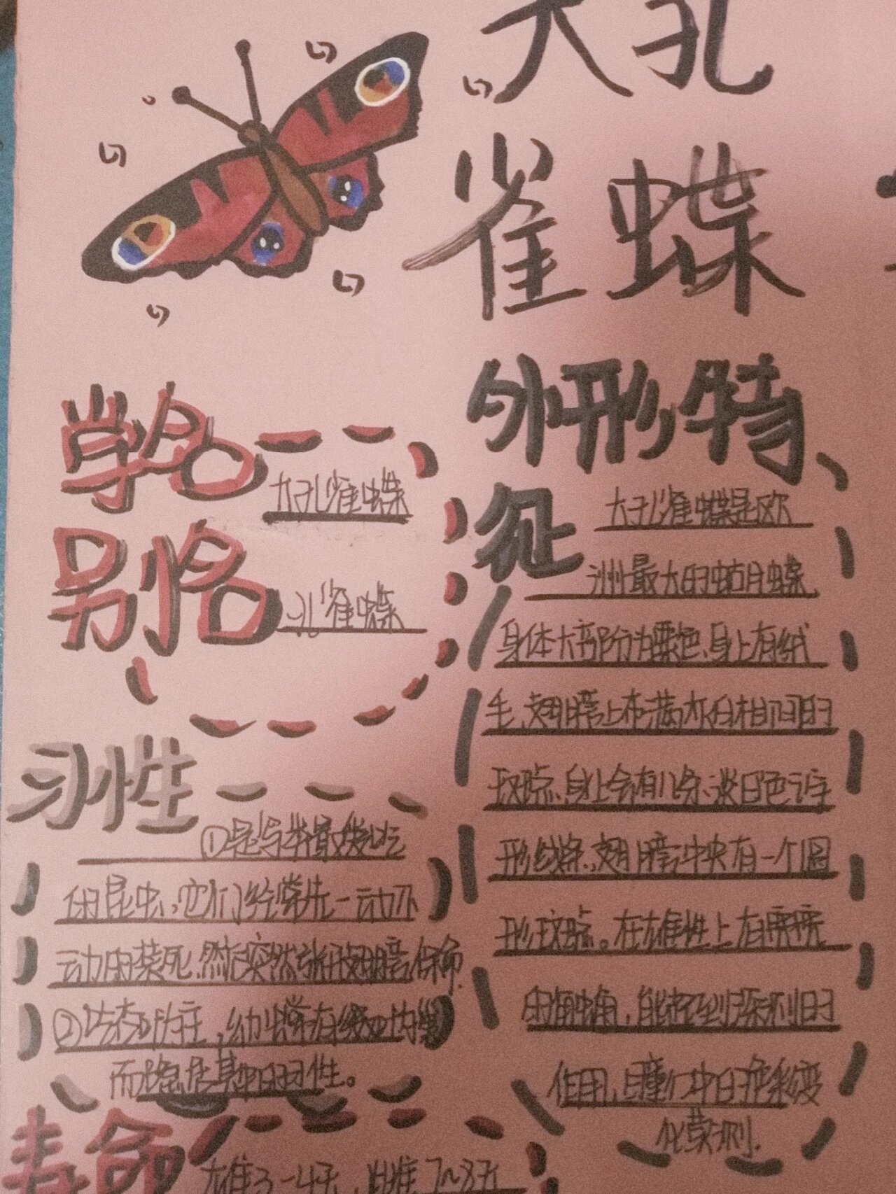99《昆虫记》之大孔雀蝶