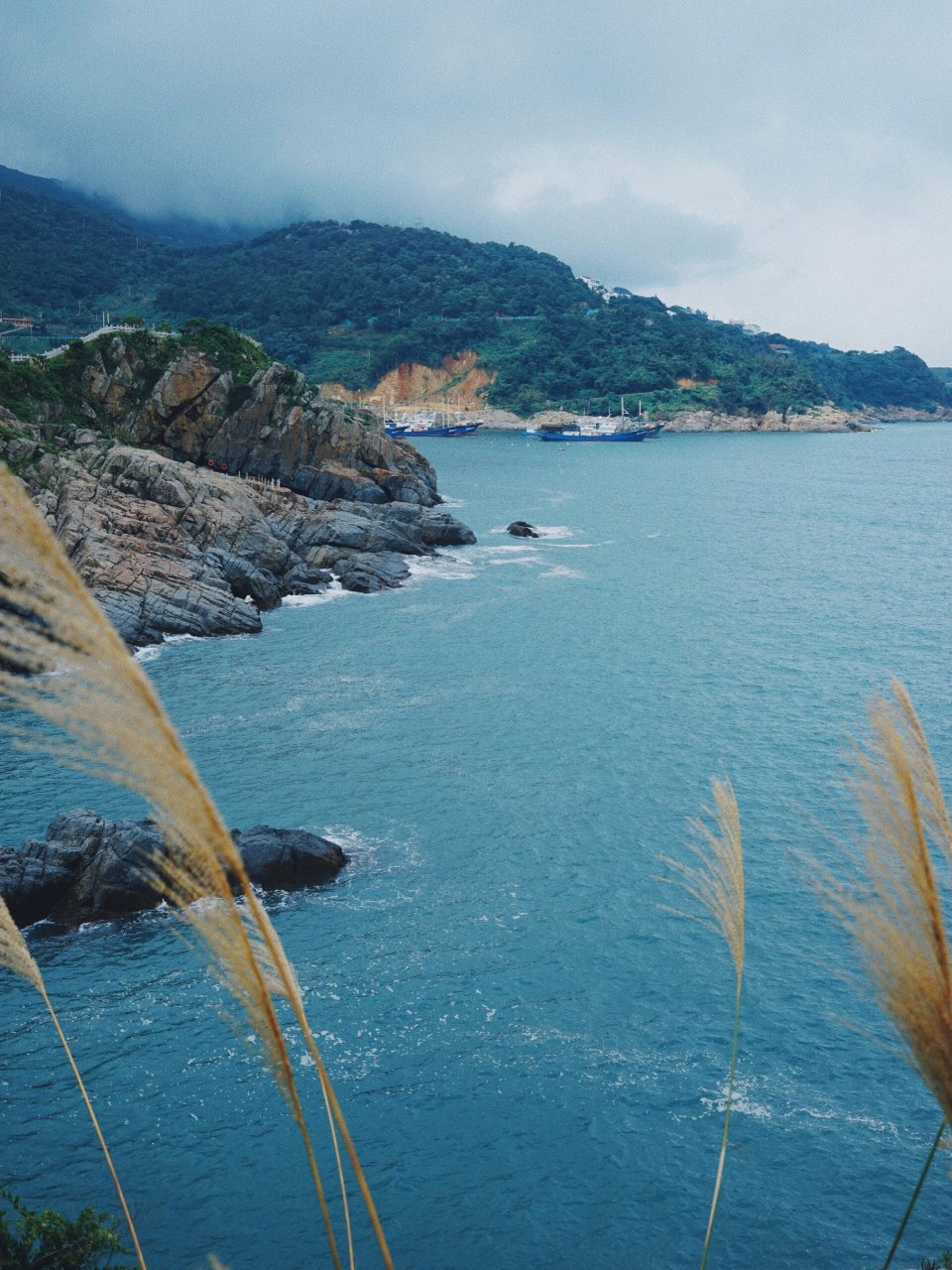 苍南马站|半山半岛99 夏天一半的快乐是星辰大海,烟尘人间99