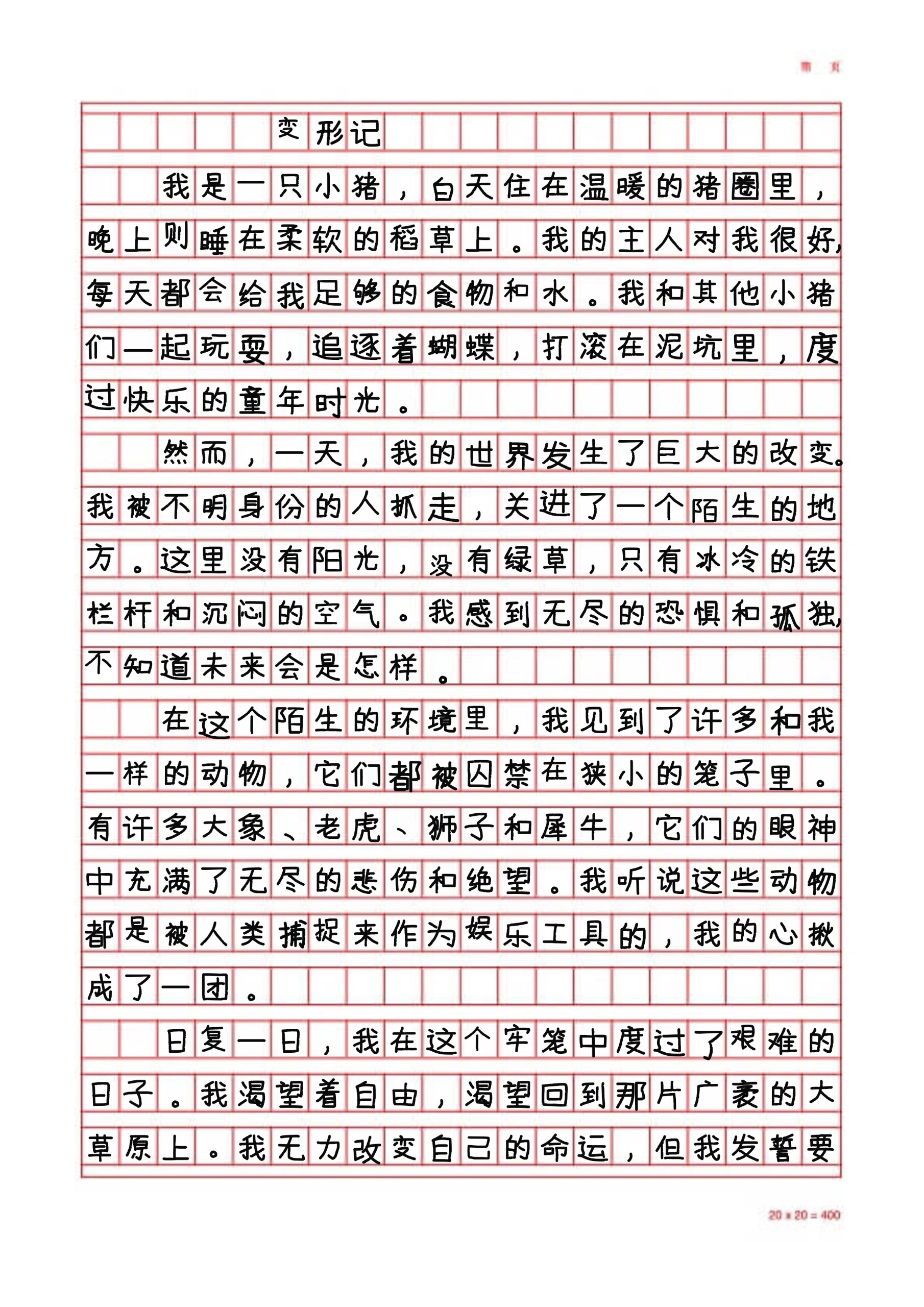 六年级作文变形记图片