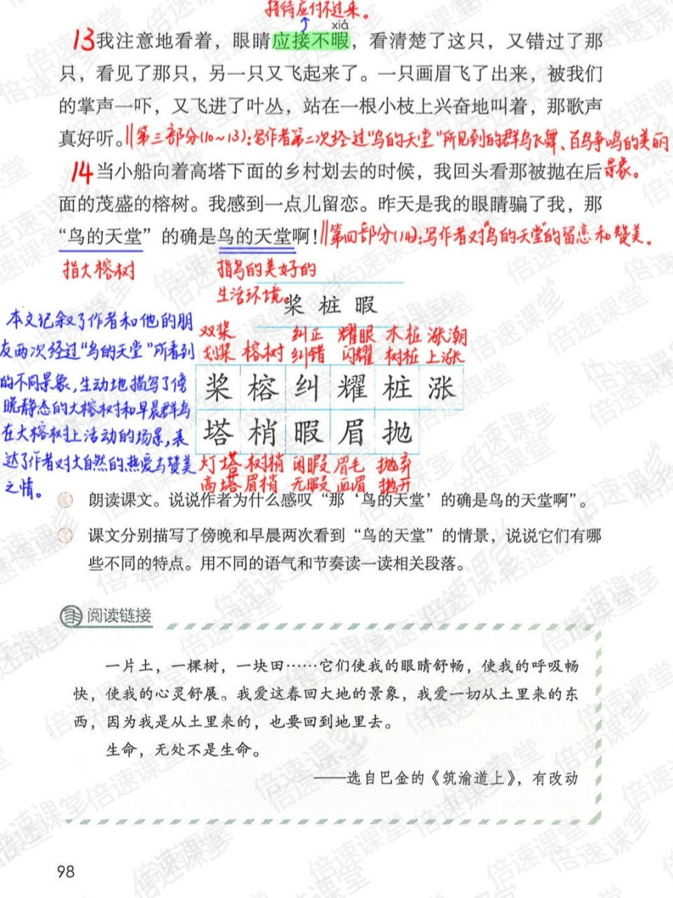 五年级上册|部编版语文|第23课鸟的天堂|预习笔记