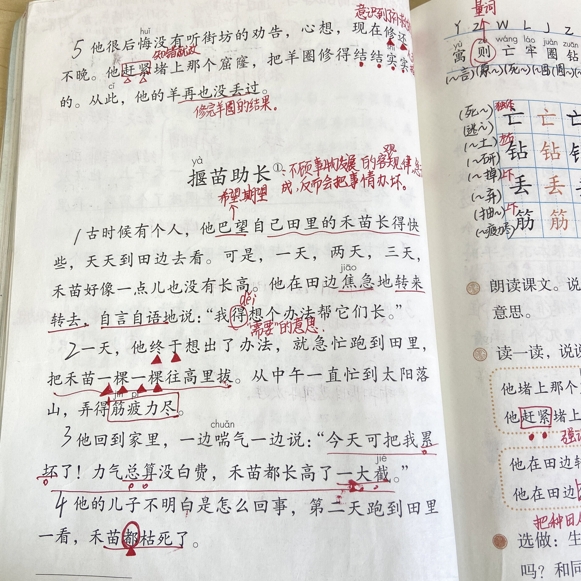 二五加亡羊补牢正确答案,二五相加是指什么动物生肖